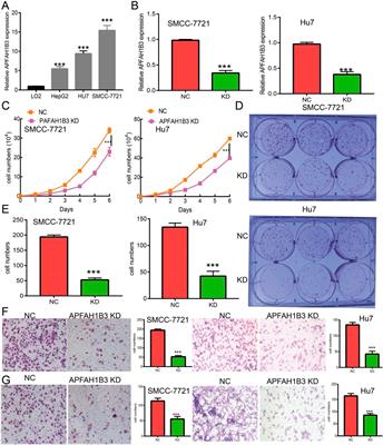 Corrigendum: Comprehensive analysis of the prognostic and immunological role of PAFAH1B in pan-cancer